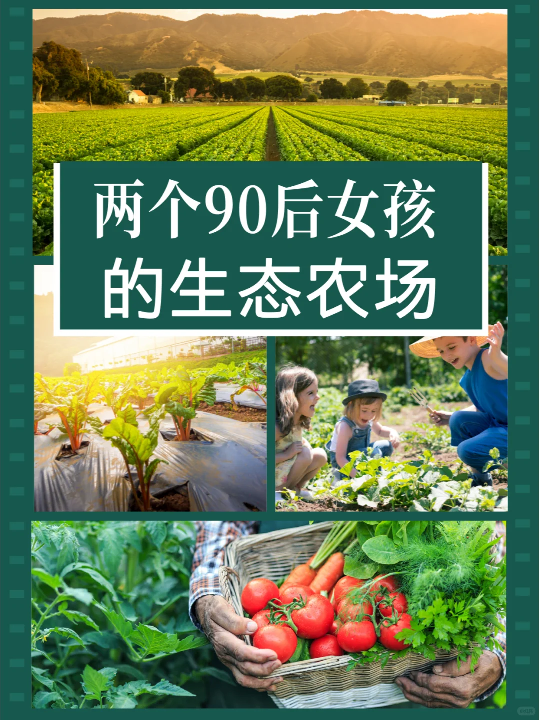 两个90后女生的生态农场
