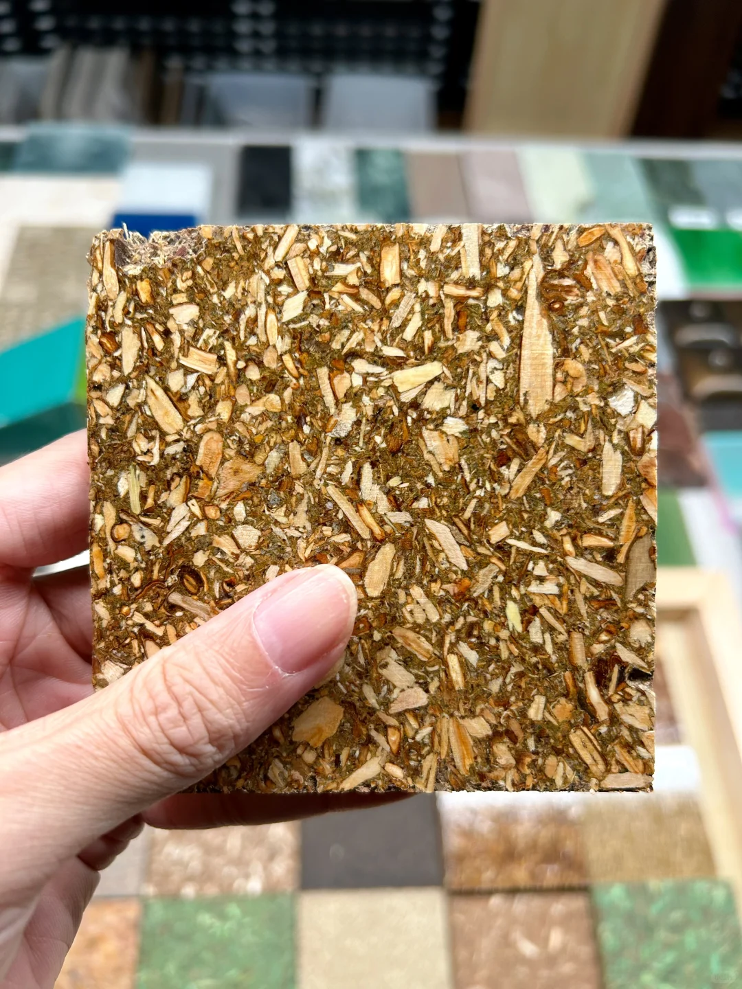 48小时样品极速达｜绿色基因