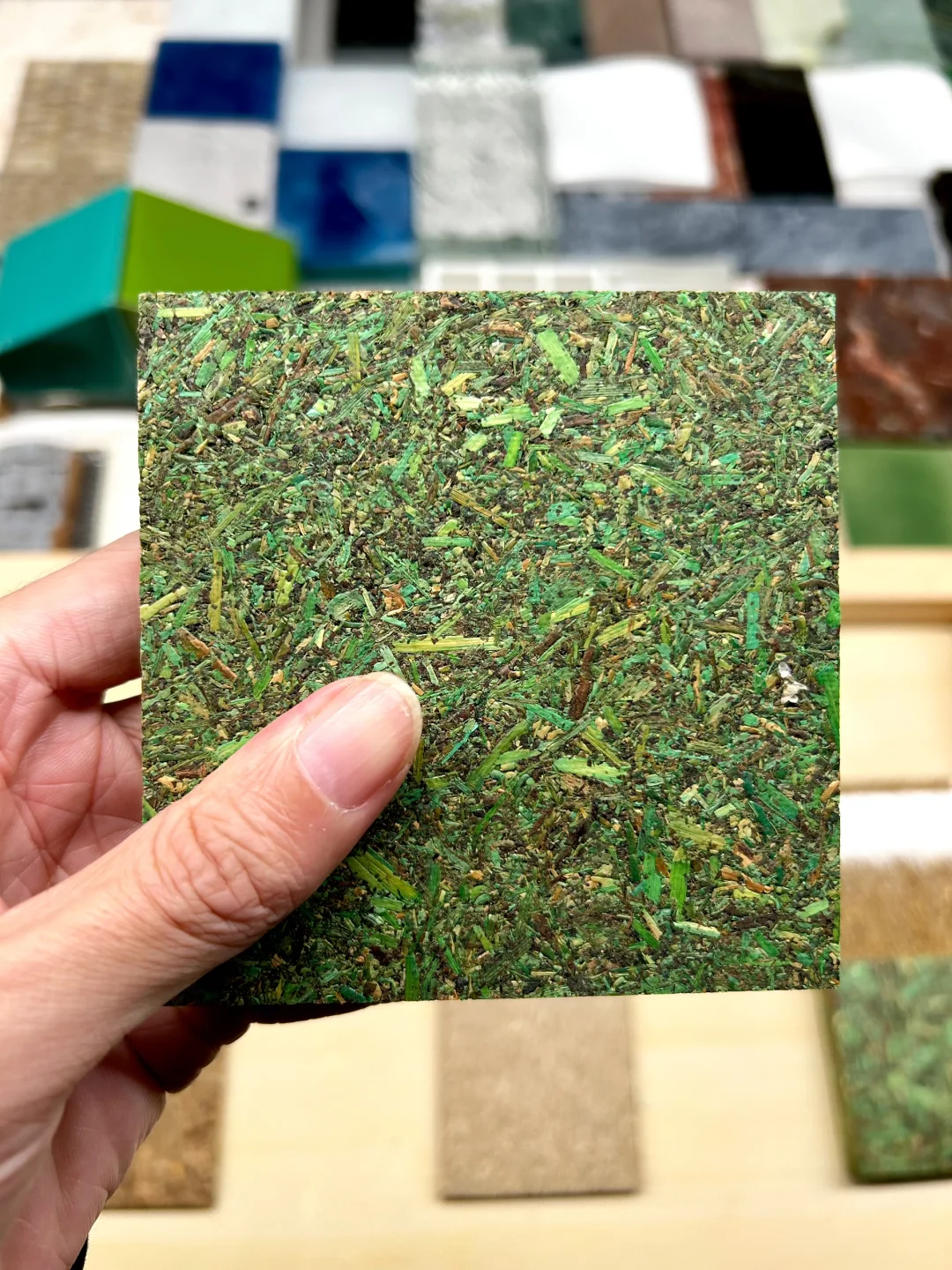 48小时样品极速达｜绿色基因