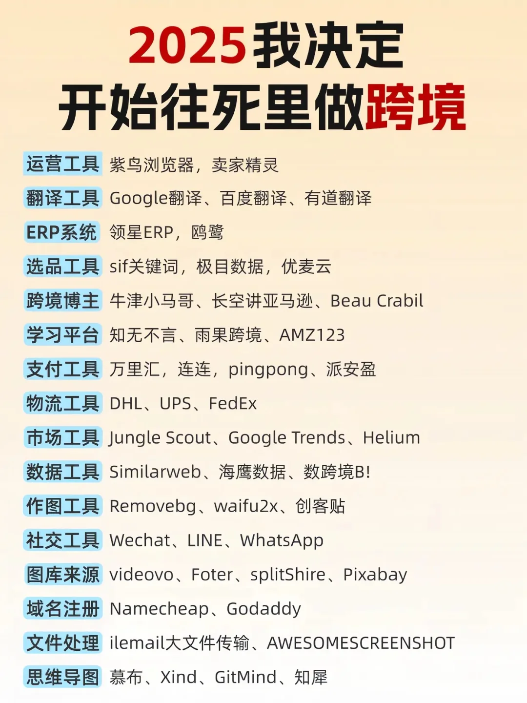 2025年我决定开始往死里做跨境！