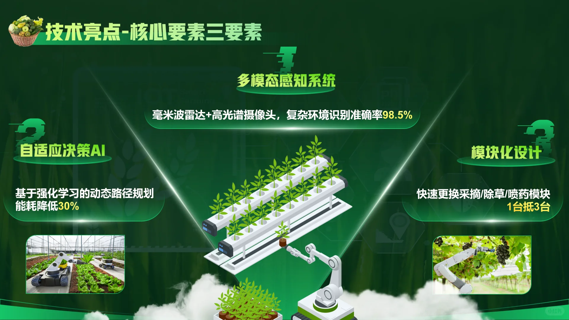 我是如何帮农业AI项目逆袭的？