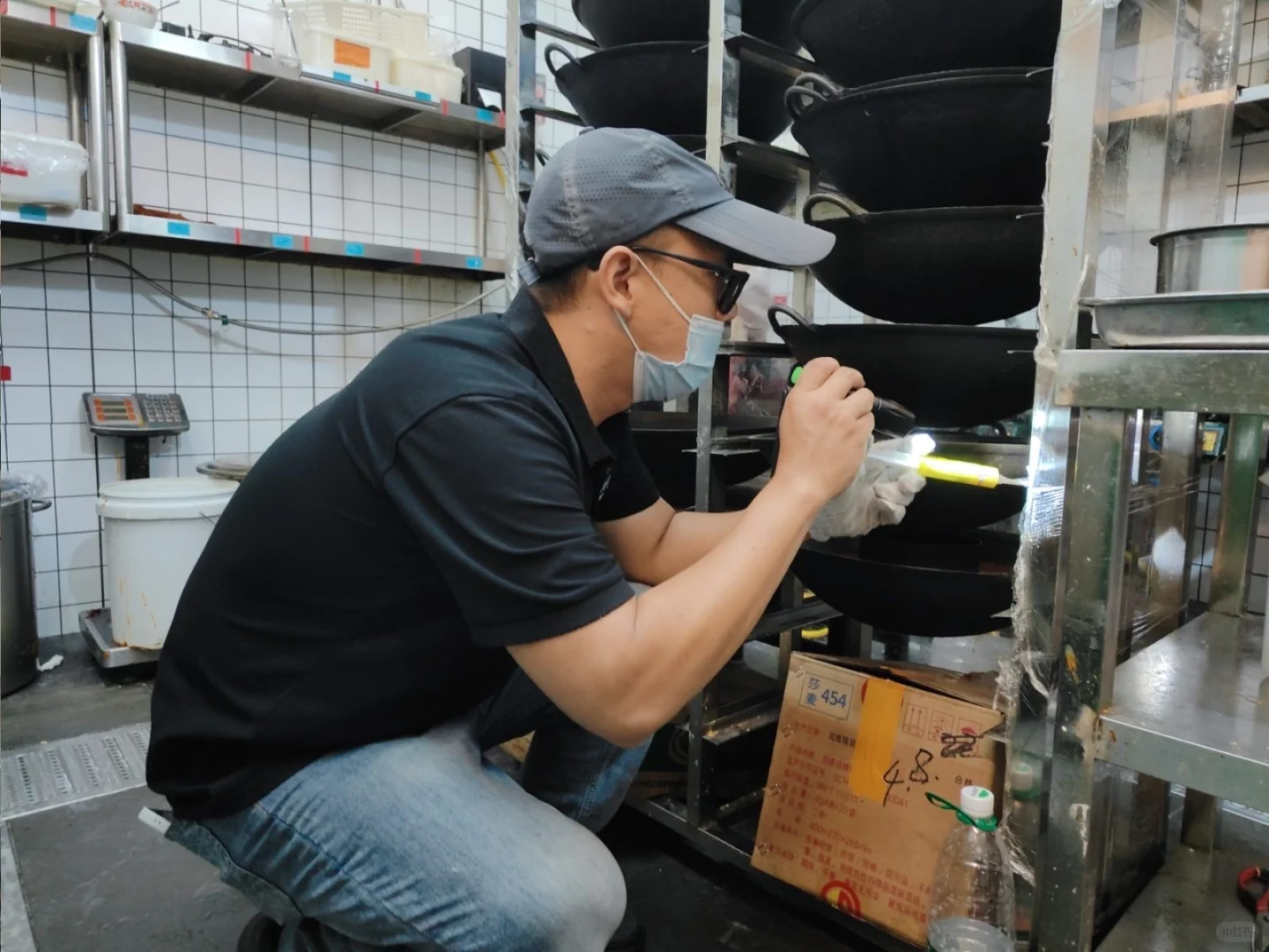 餐饮店为什么要定期进行四害消杀呢？