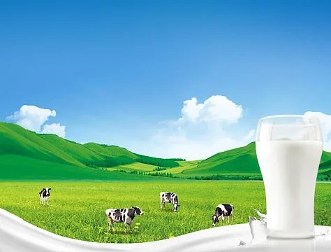 《绿色畜牧养殖：开启健康未来》