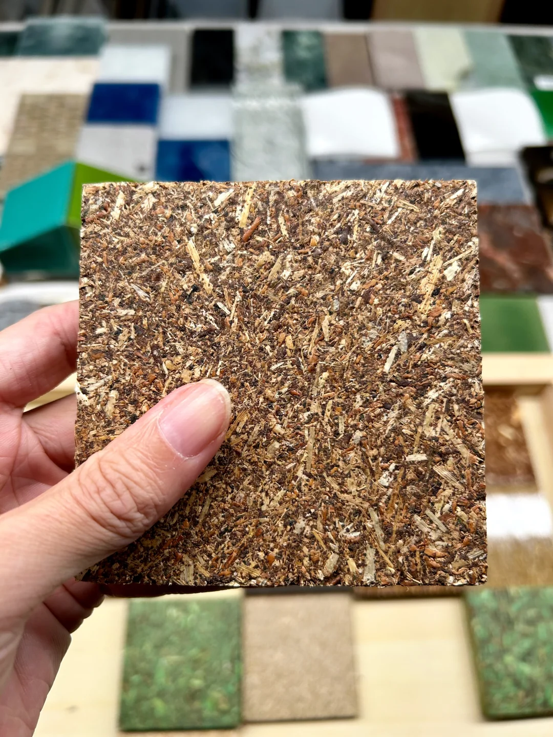 48小时样品极速达｜绿色基因