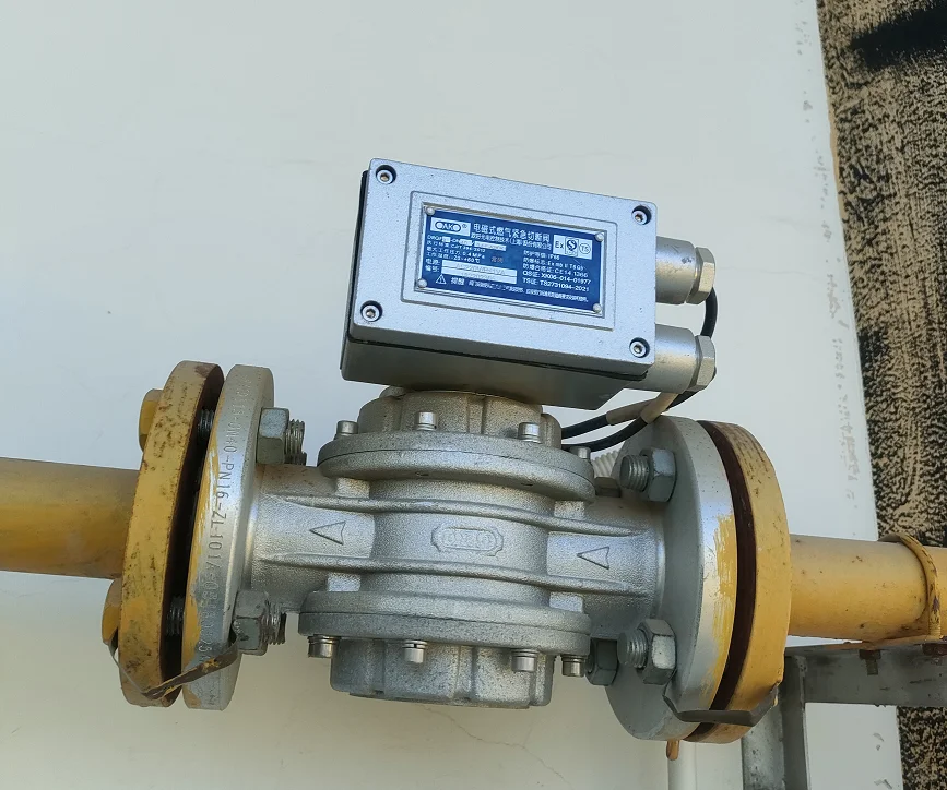 年关将至，餐饮行业必备的燃气安全设施