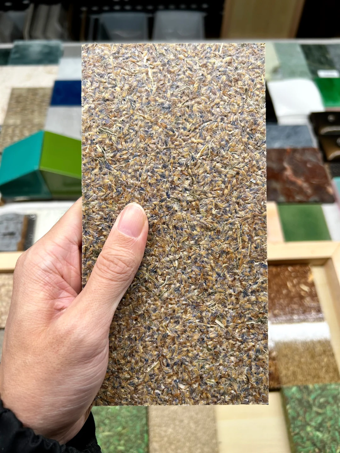 48小时样品极速达｜绿色基因