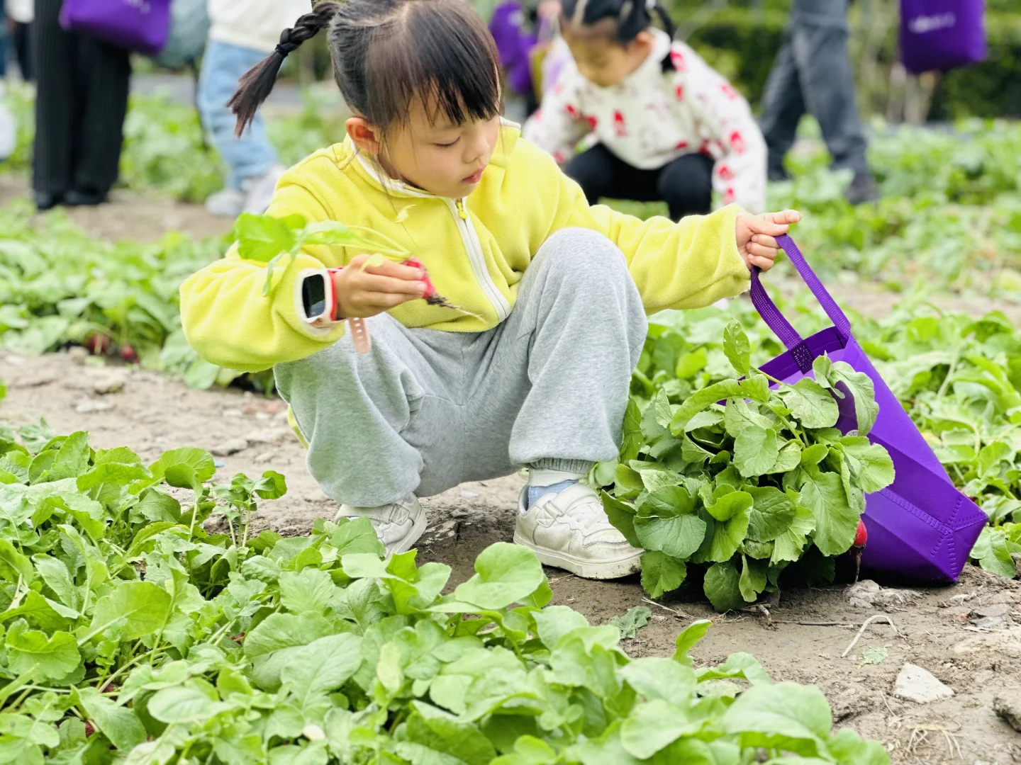 上海元祖梦世界亲子游攻略｜做蛋糕?拔萝卜