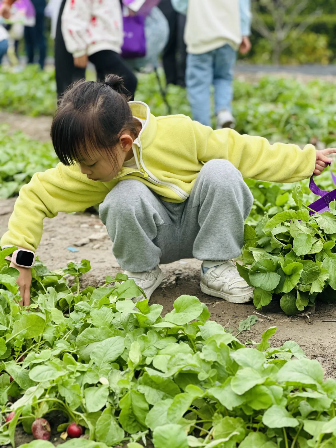 上海元祖梦世界亲子游攻略｜做蛋糕?拔萝卜