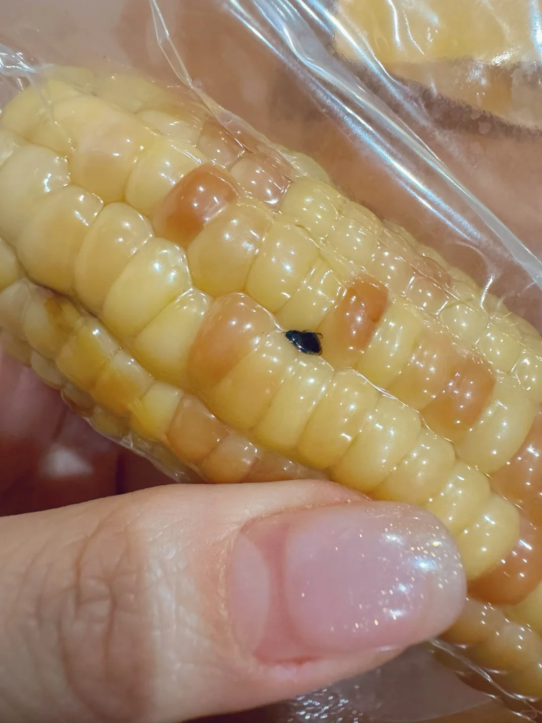 就是说！不要妥协！食品安全！