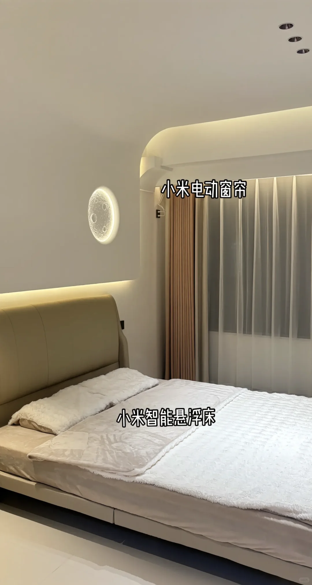 雷军进场！