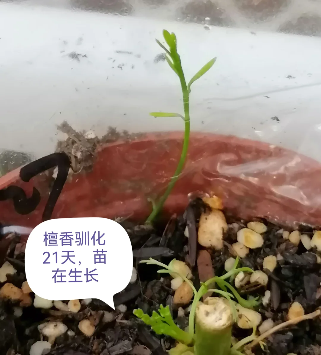 做农业怎样才能挣到钱？轻松挣大钱？