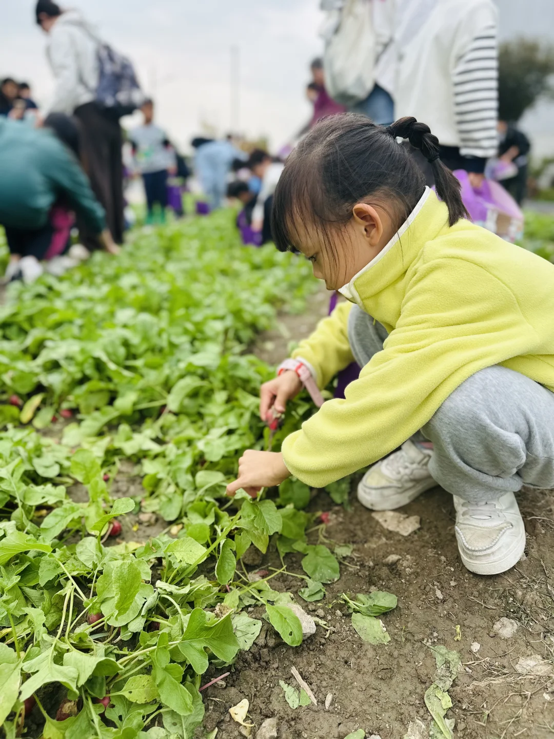 上海元祖梦世界亲子游攻略｜做蛋糕?拔萝卜