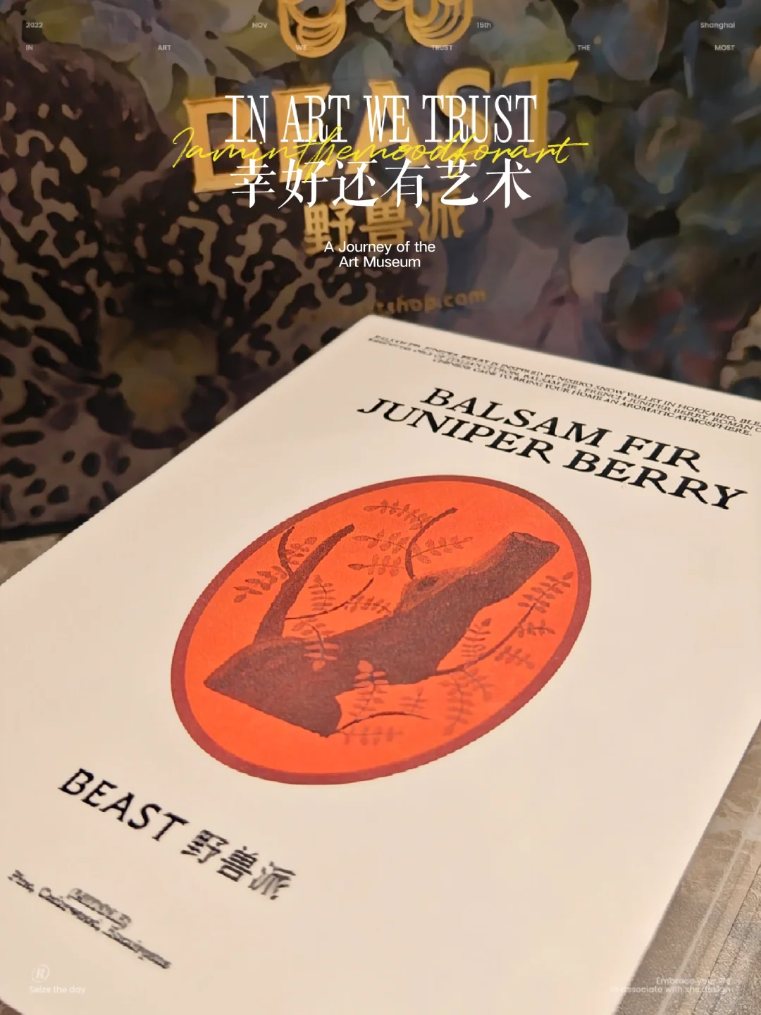 我的摩根全屋智能落成！