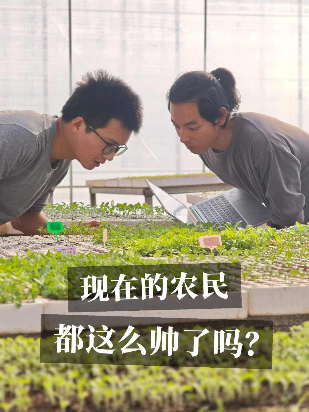 零零后种菜