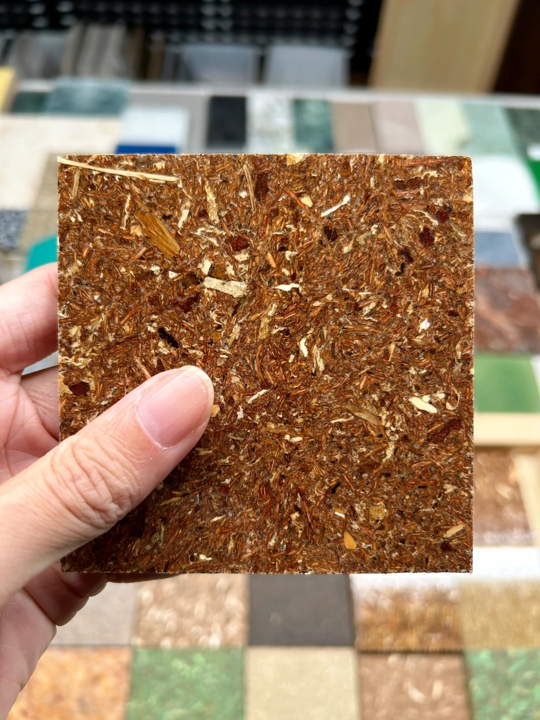 48小时样品极速达｜绿色基因