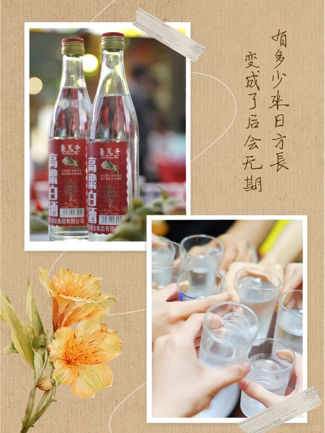 ?高粱白酒的独特魅力?