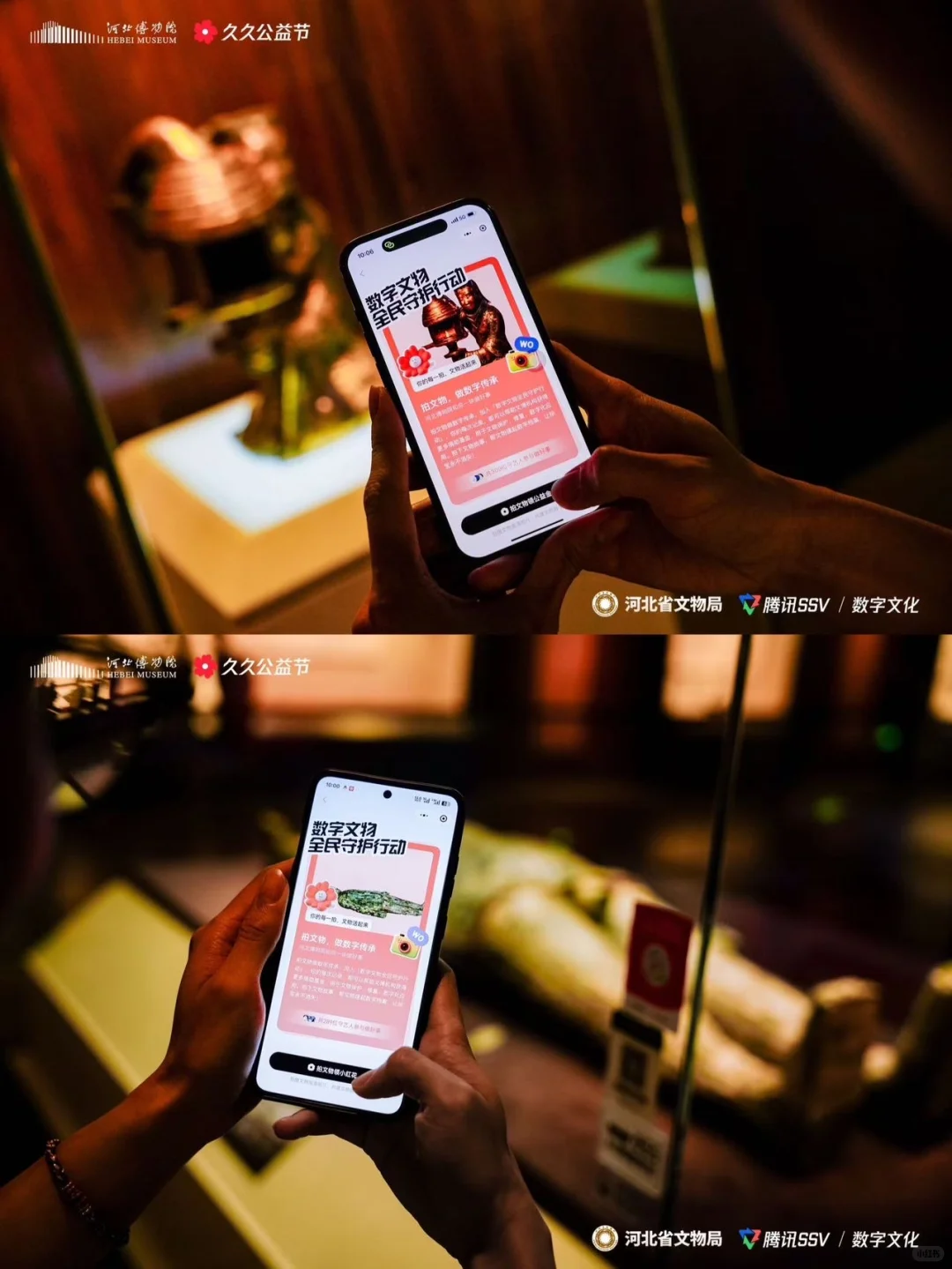 石家庄人都接到通知了吗？博物院✖️数字文物
