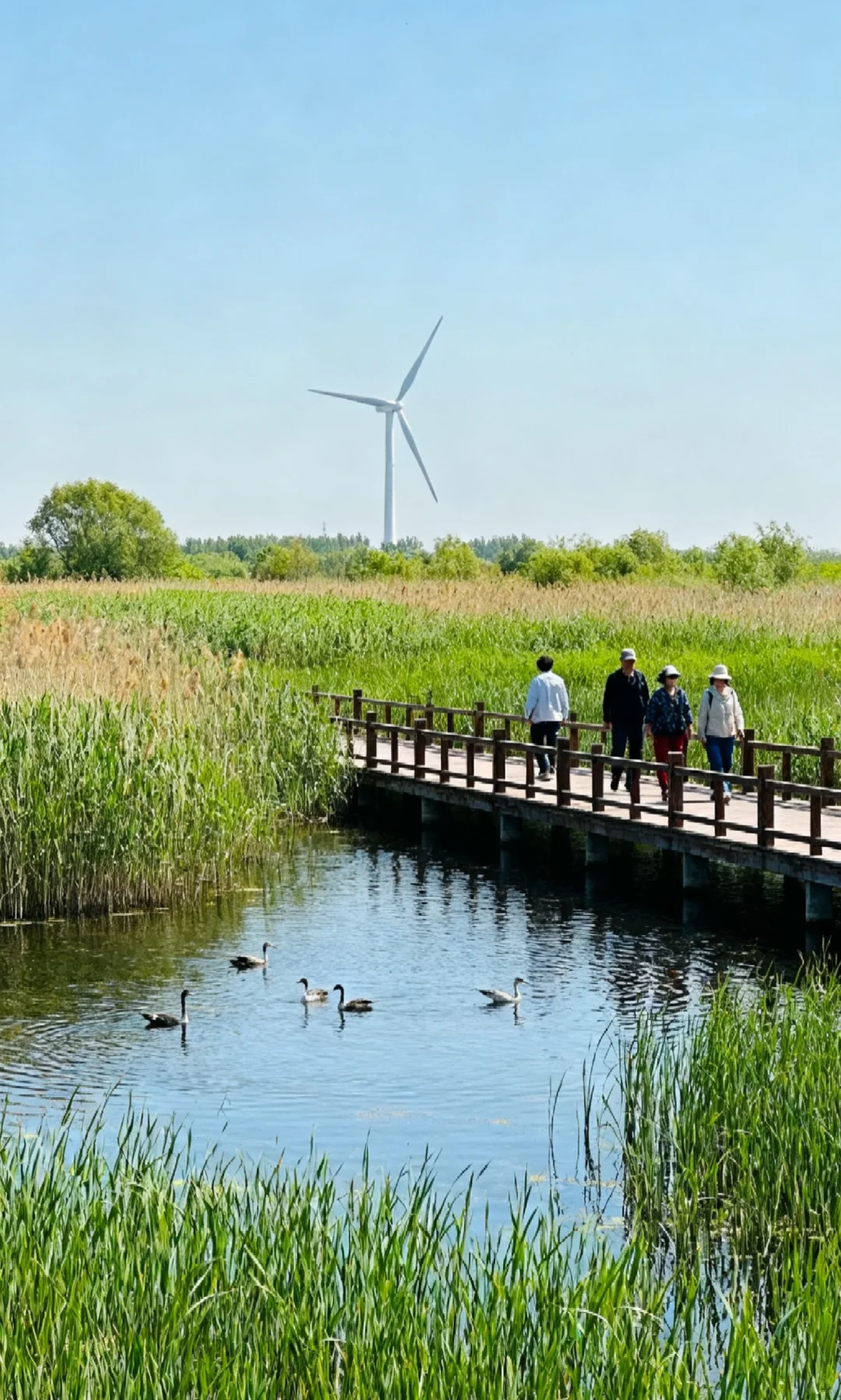 ?绿色发展太香了！出门就能“抱”着自然
