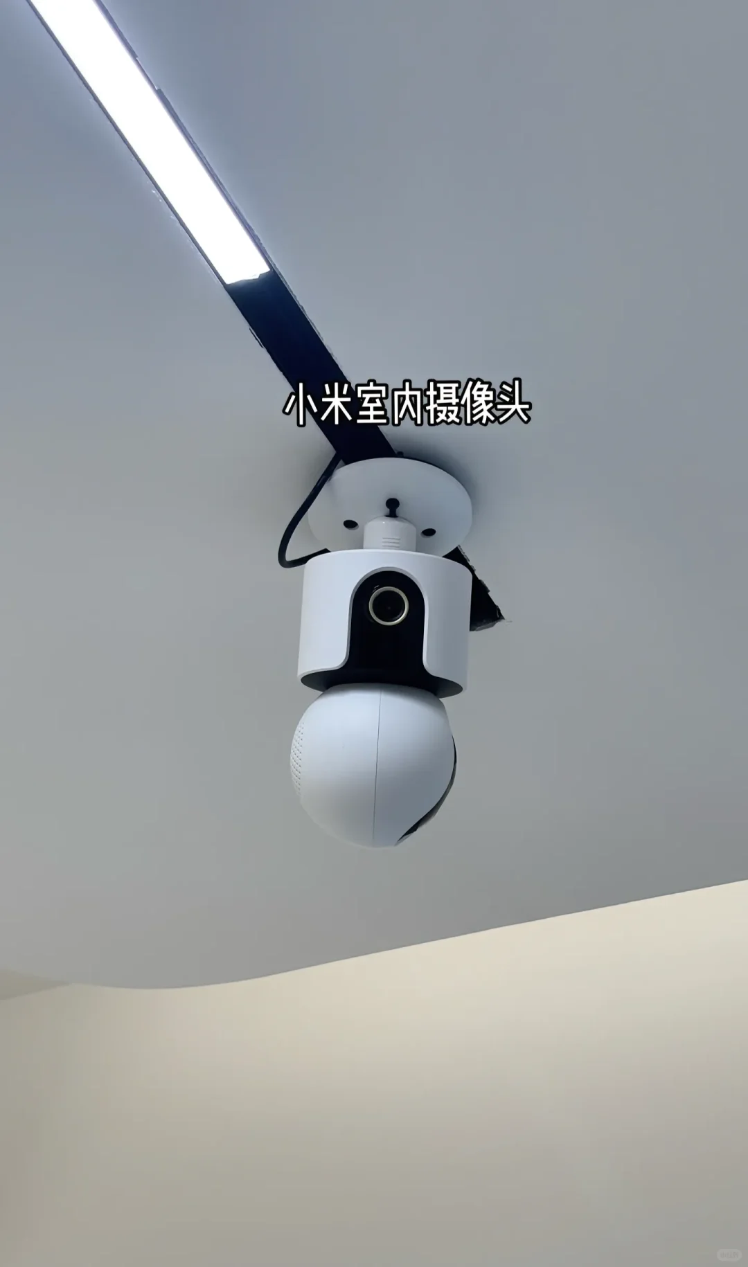 雷军进场！