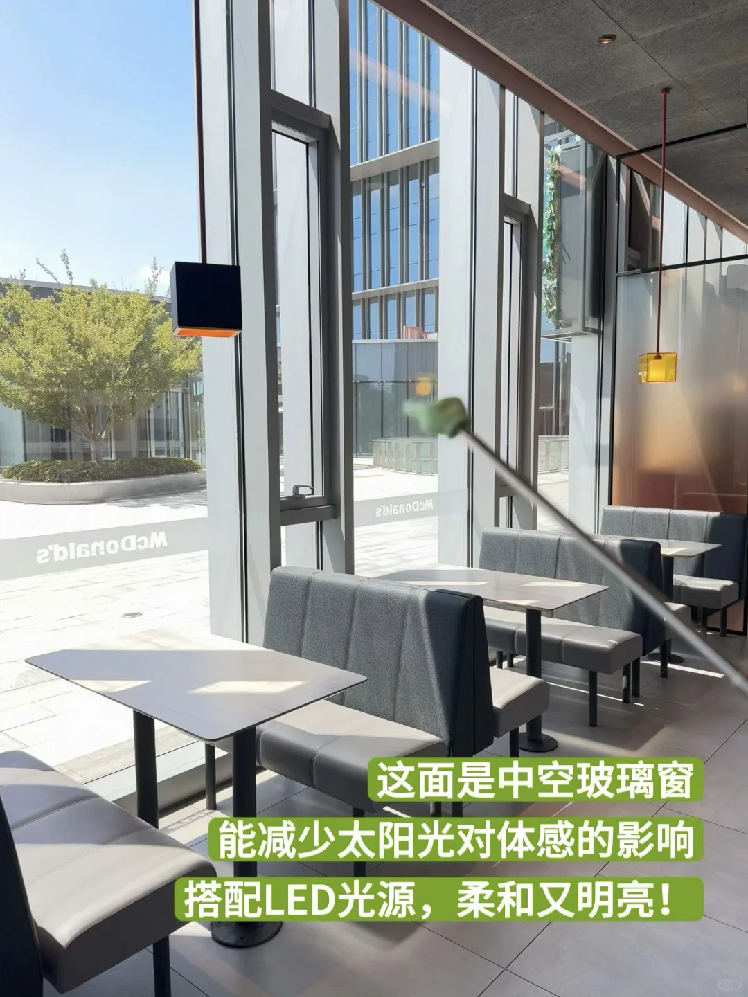 ????我在麦当劳就这样指指点点！