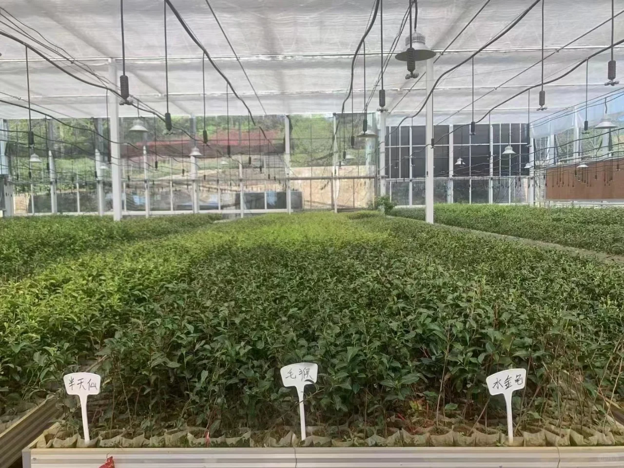 智能智慧农业设备