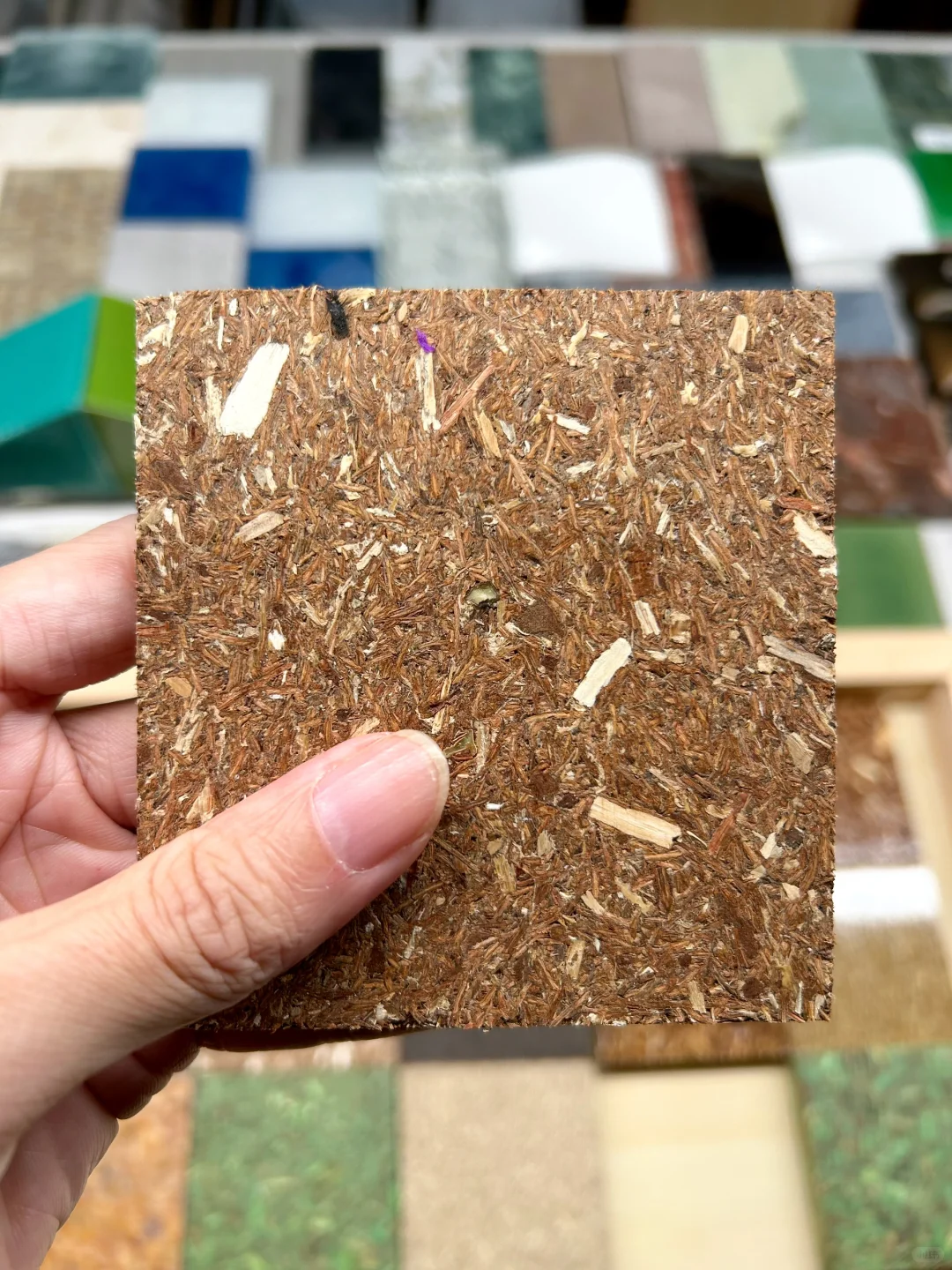 48小时样品极速达｜绿色基因