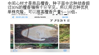 做农业怎样才能挣到钱？轻松挣大钱？