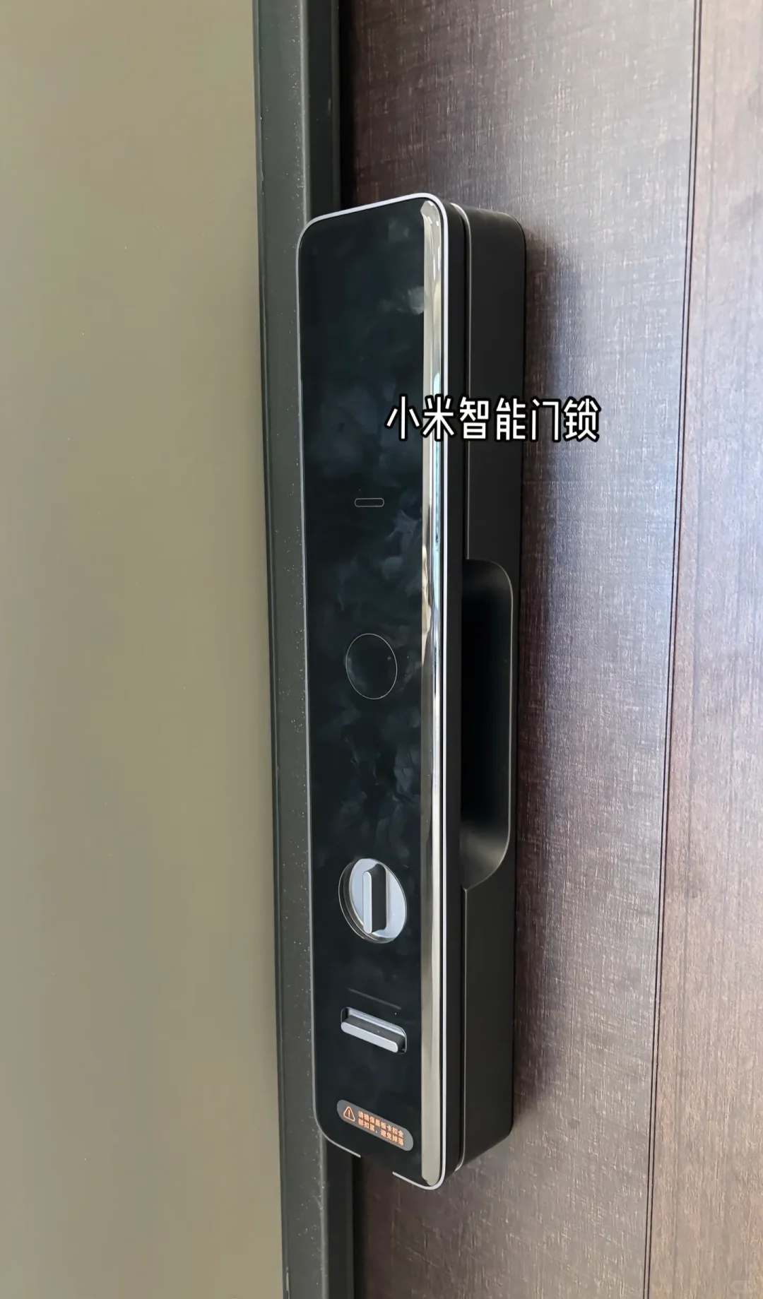 雷军进场！