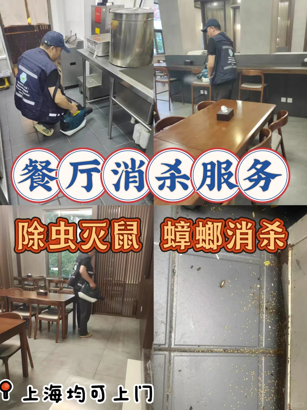 餐厅消杀服务上海上门除蟑螂专业除老鼠杀虫