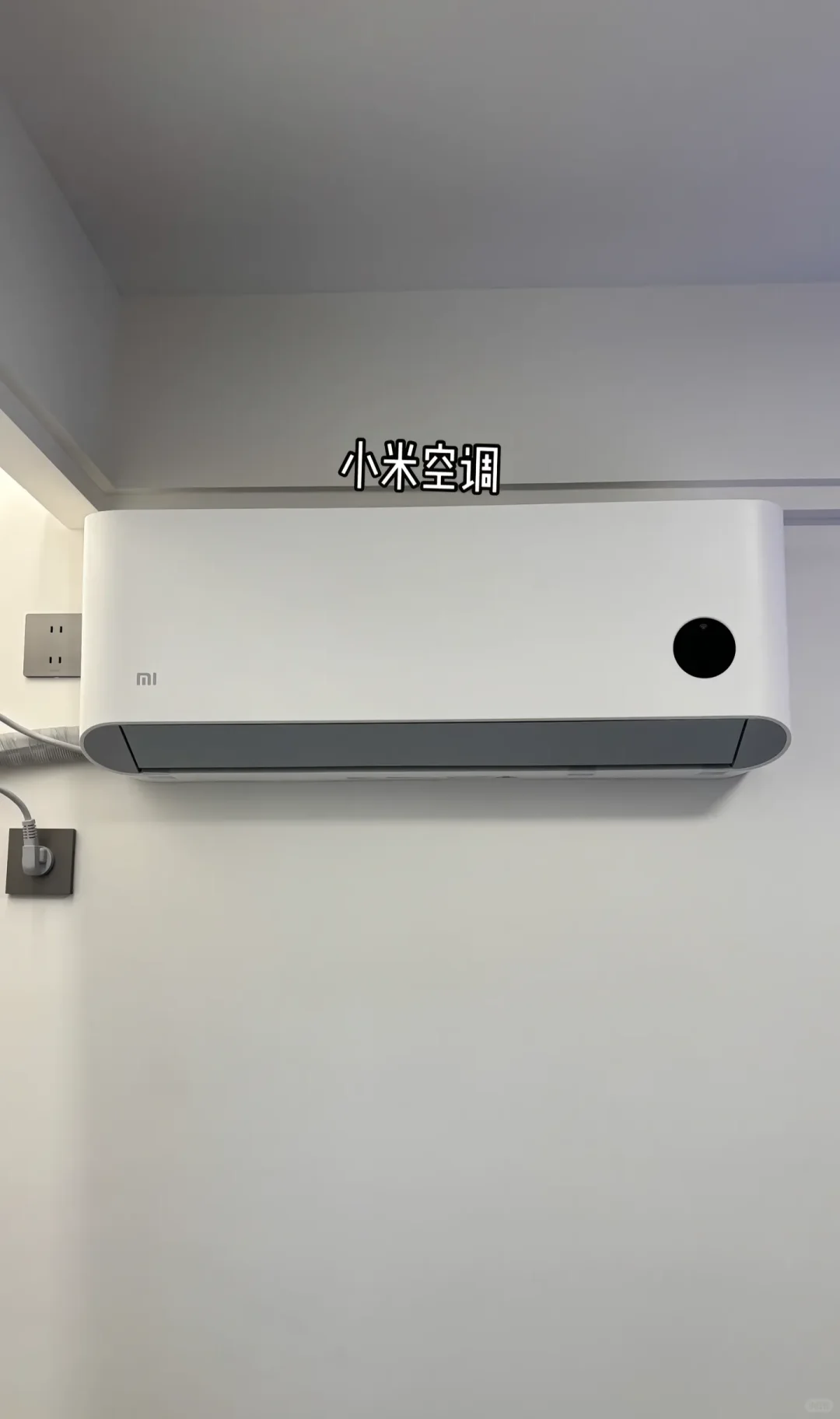 雷军进场！