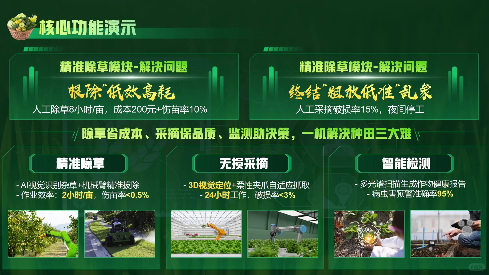 我是如何帮农业AI项目逆袭的？