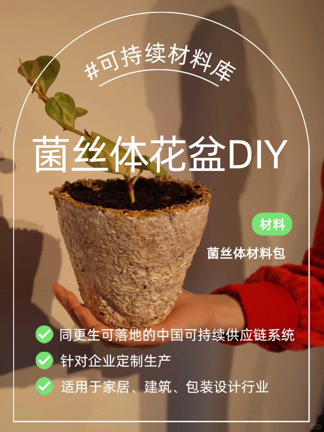 取代塑料的可持续新材料，100%可降解