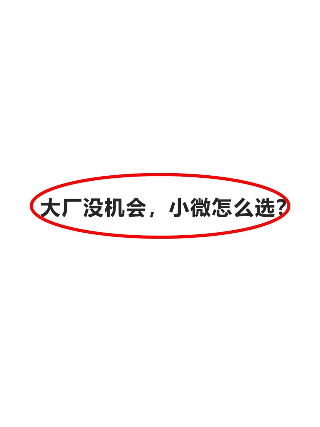 大厂没机会 小厂怎么选