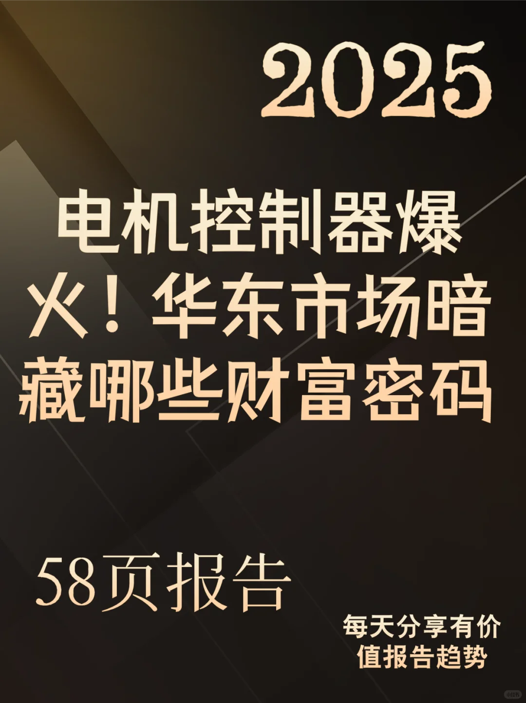 电机控制器爆火！华东市场暗藏哪些财富密码