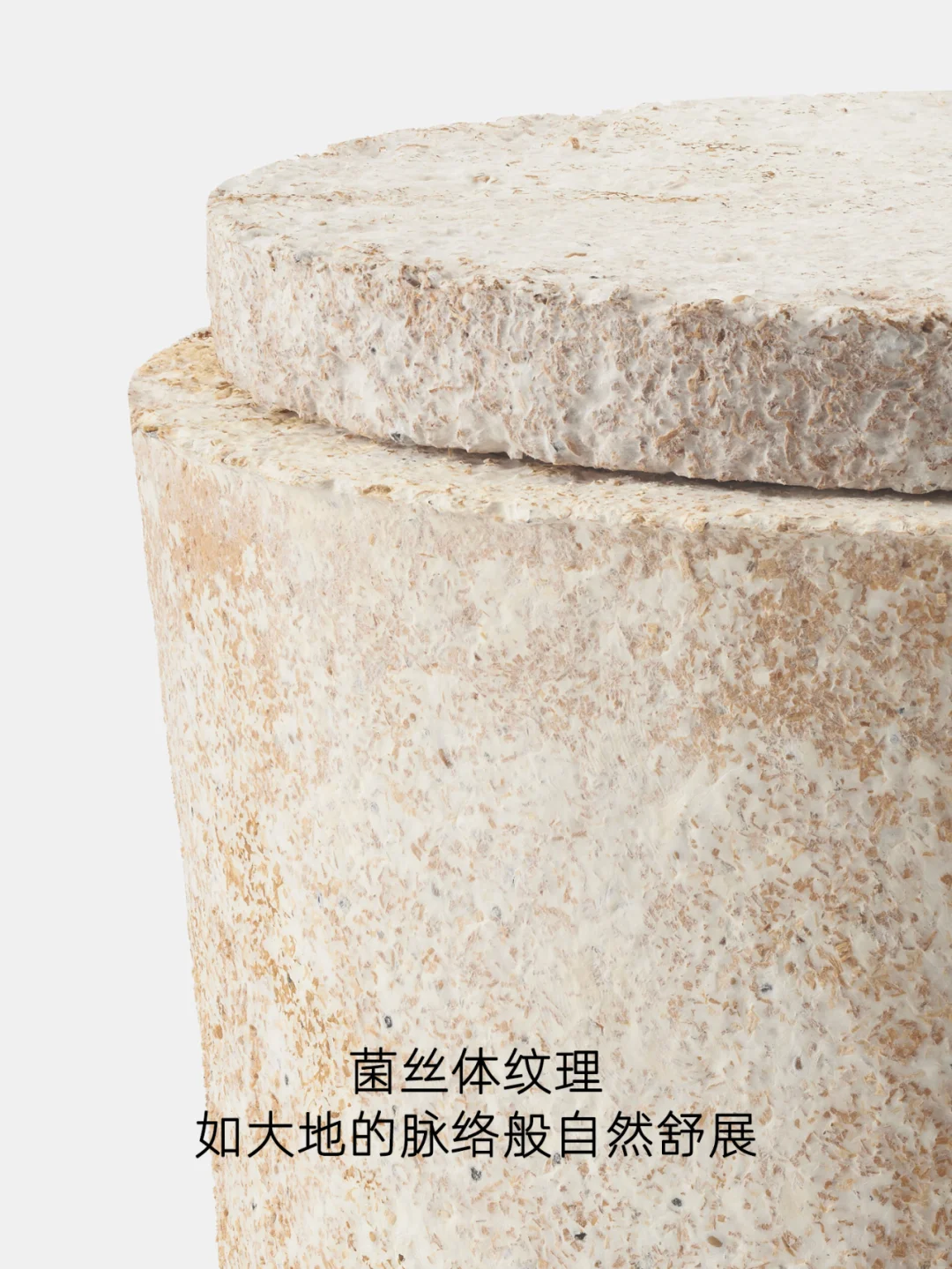 取代塑料的可持续新材料，100%可降解