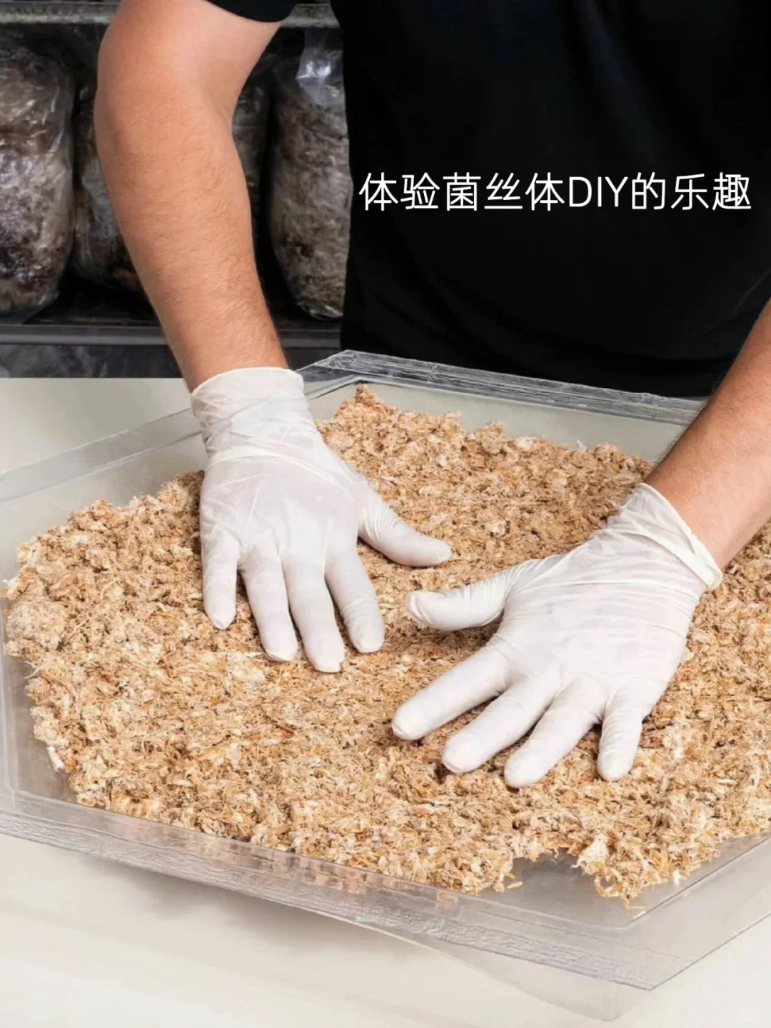 取代塑料的可持续新材料，100%可降解