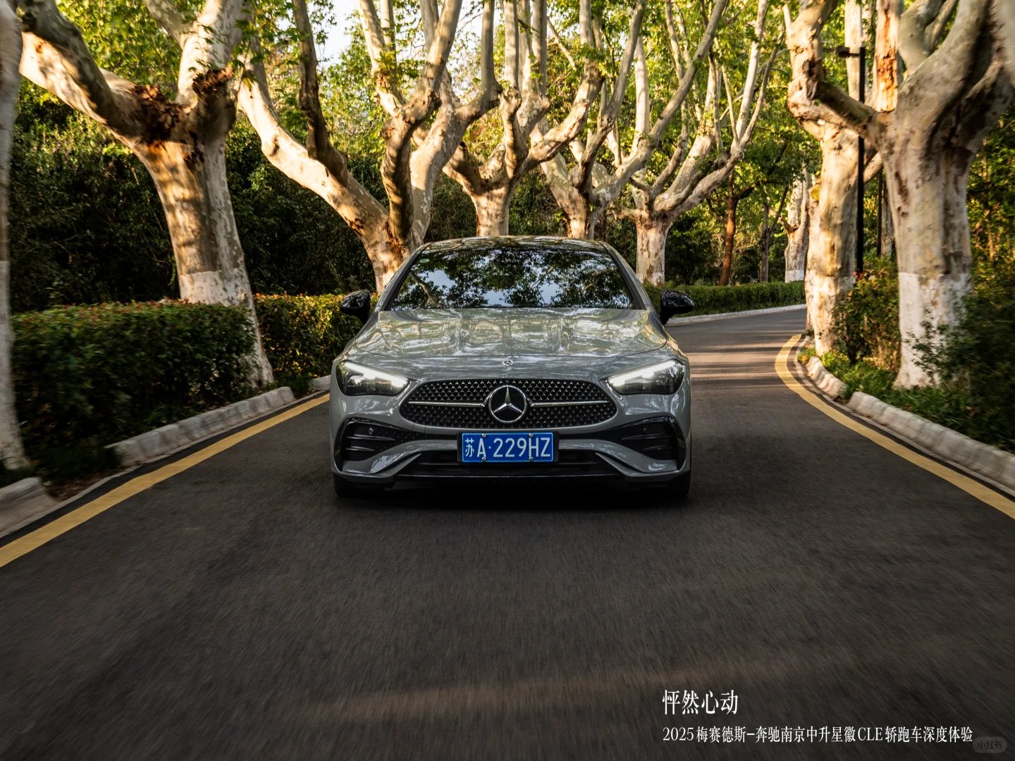 当奔驰CLE遇见金陵暖阳｜BPC解锁跨界美学
