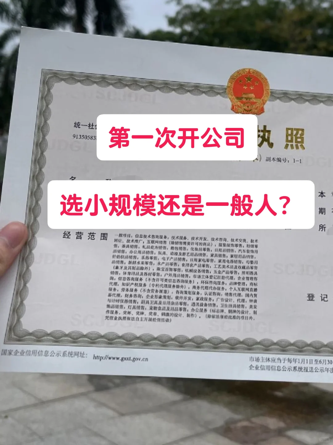 小规模一般人选不对，一年亏10万?
