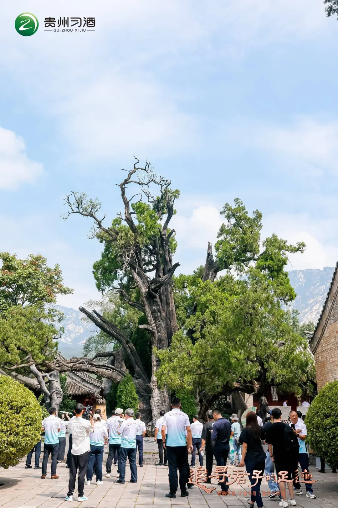 酒文化与书院文化的具象化联动