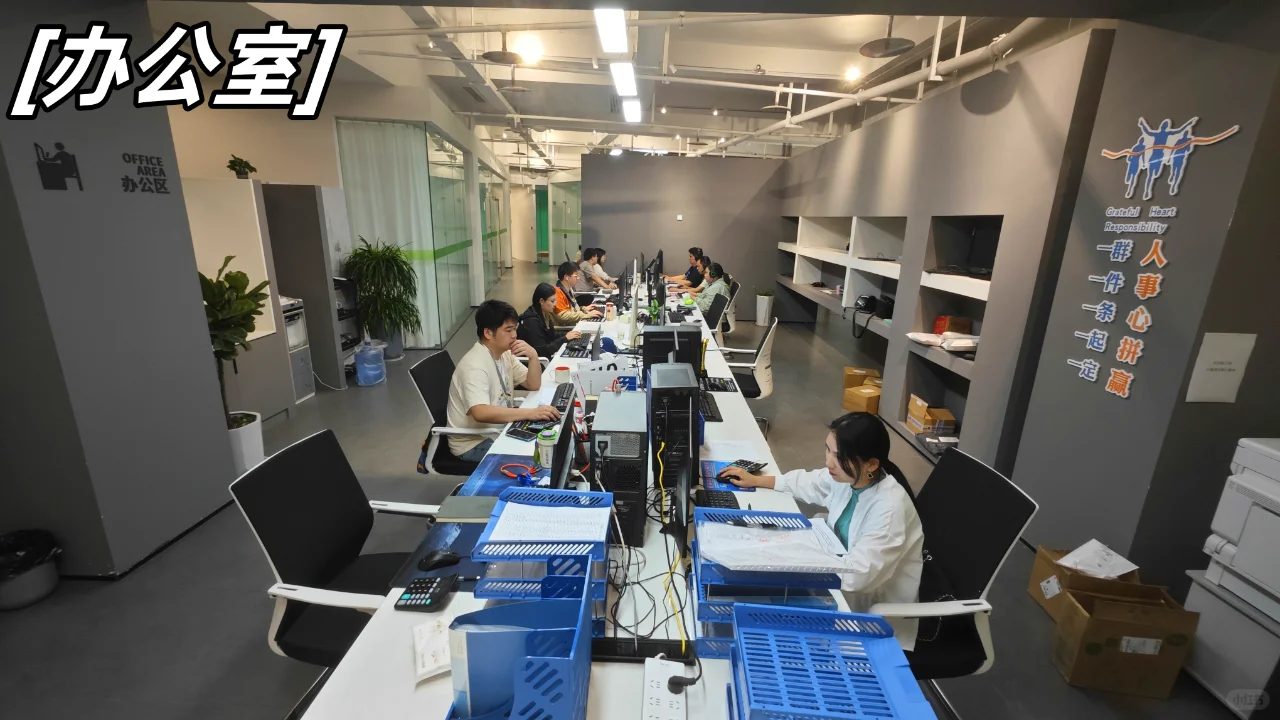 公司规模介绍