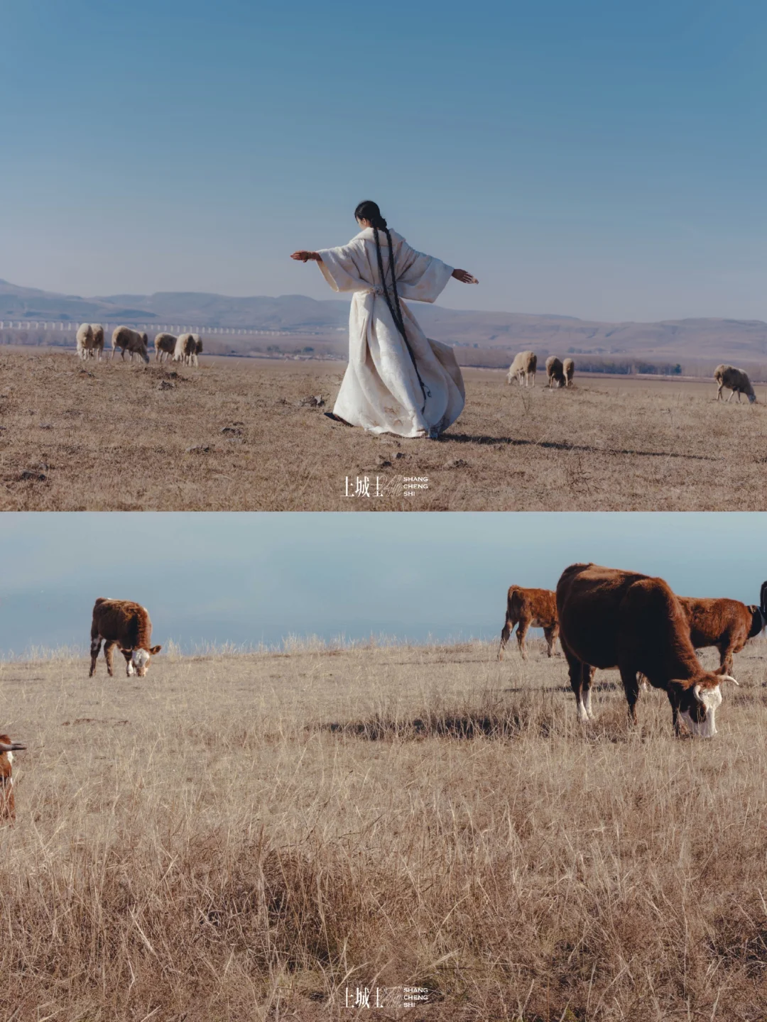 上城士：杂志x明星跨界，在地文化如何破圈？