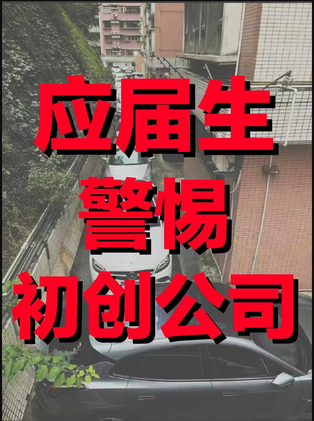 应届生别被初创公司坑！