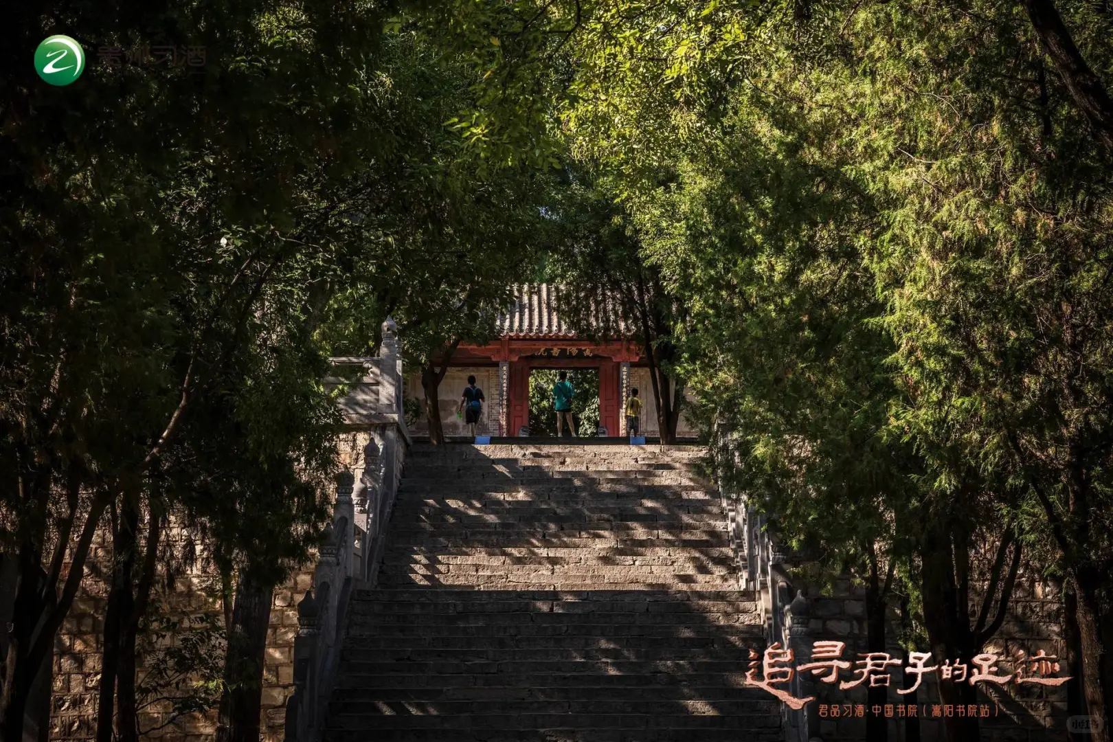 酒文化与书院文化的具象化联动