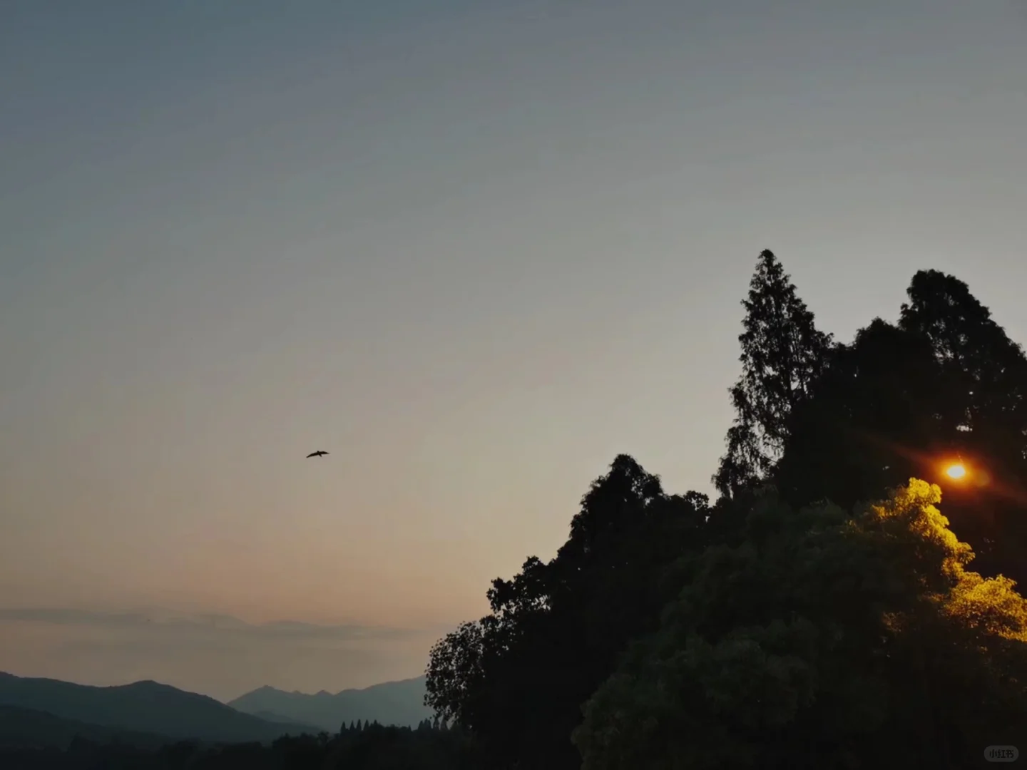 苹果Vision pro带来的震撼混合现实体验！