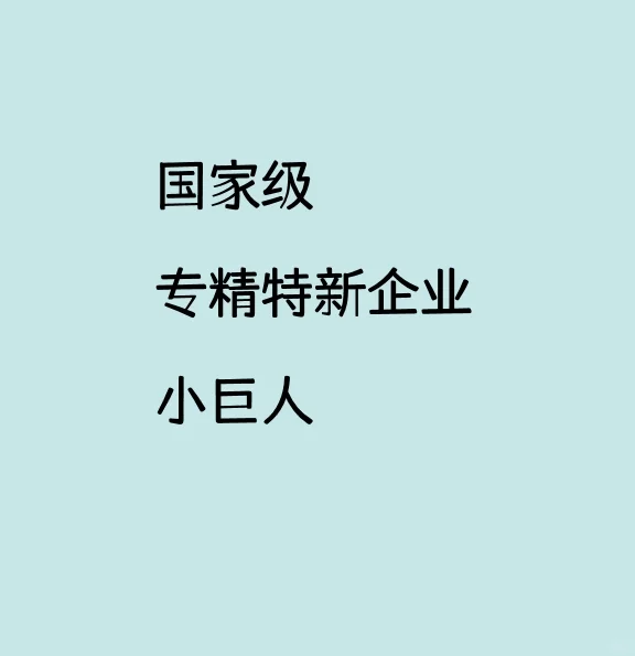 国家级专精特新企业-小巨人
