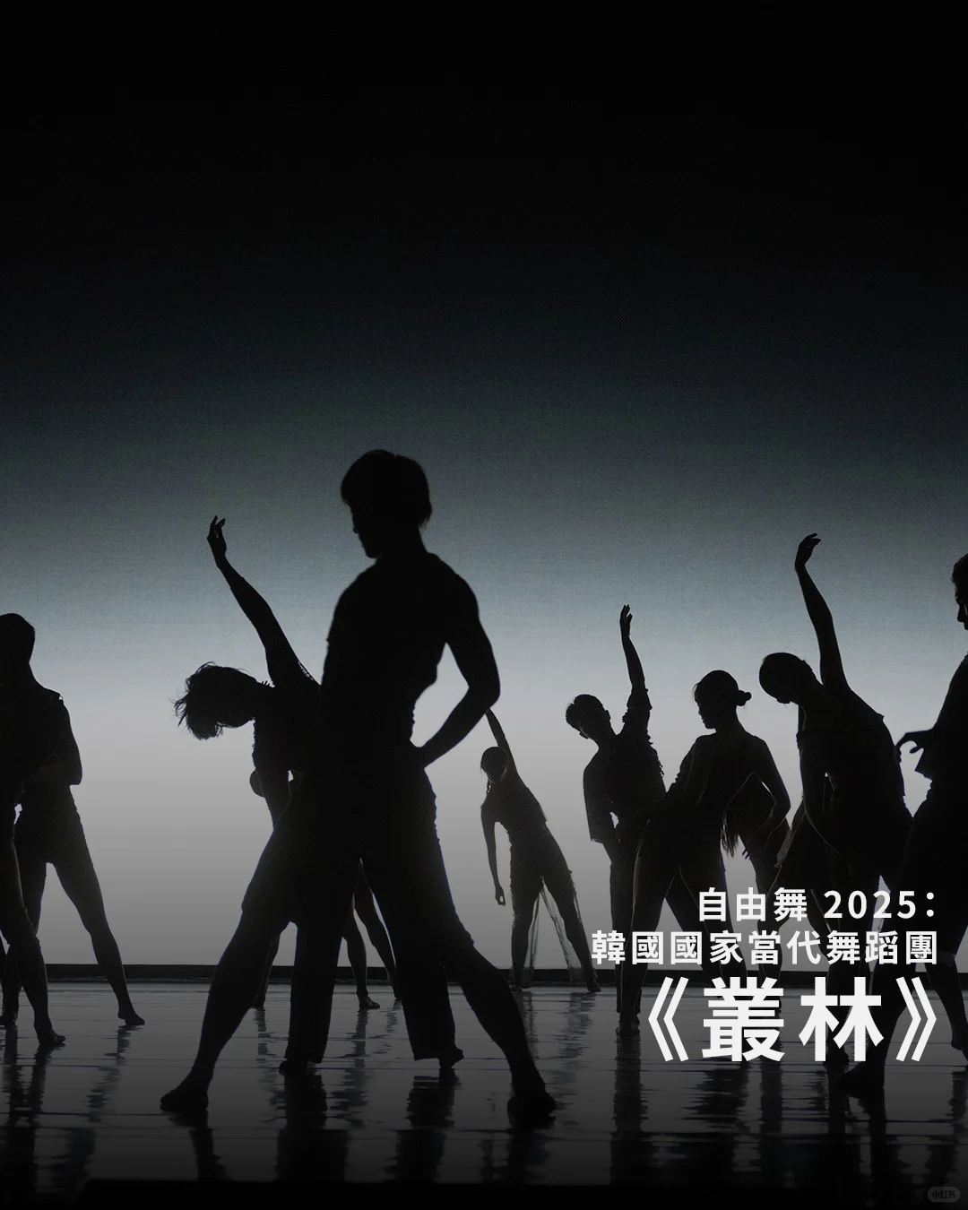 西九年度大型舞蹈節✨「自由舞 2025」