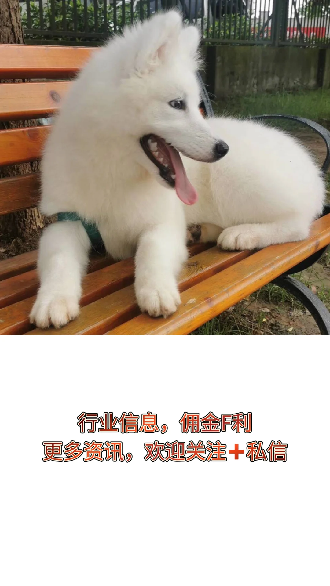 光伏入行指南赶紧码住