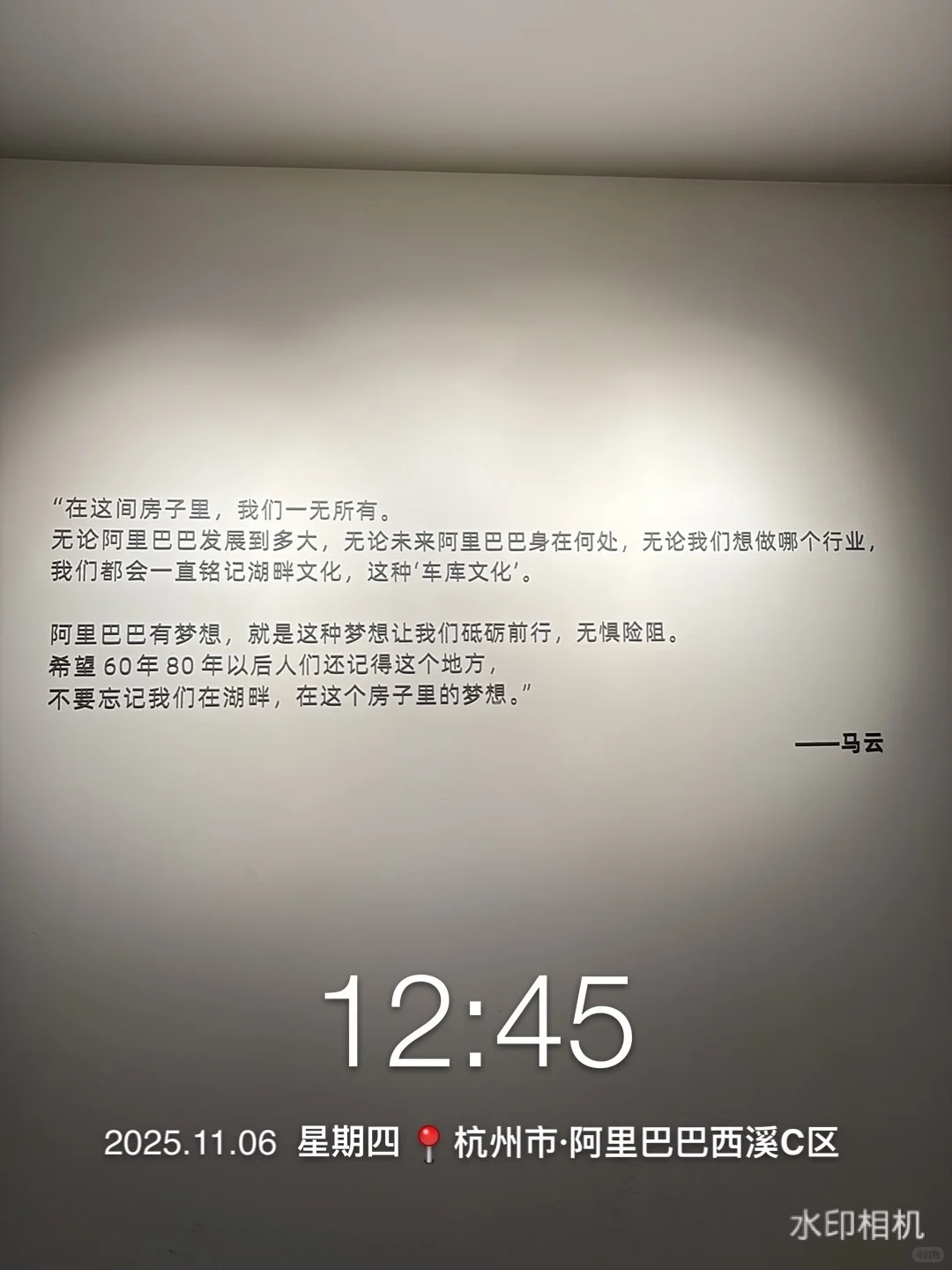 老外用车理想MEGA接送，太给国货长脸了