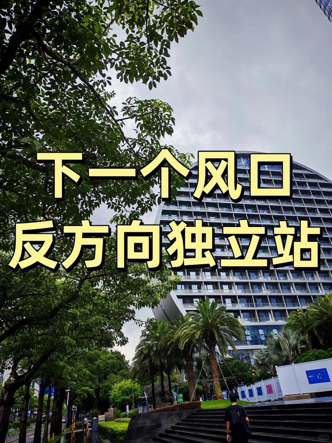 下一个风口：反方向独立站