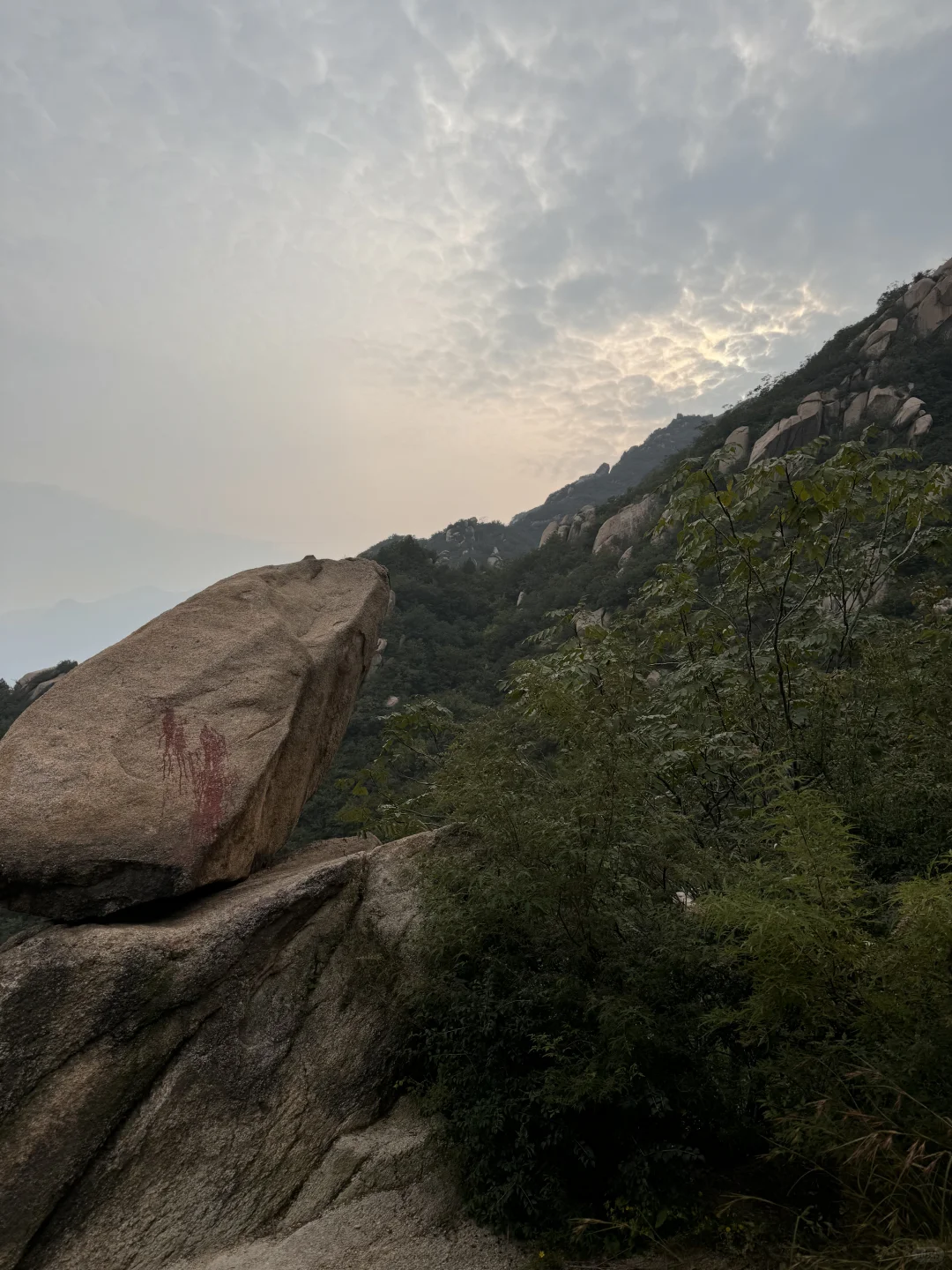 看了今年上半年餐饮行业报告，才知道的